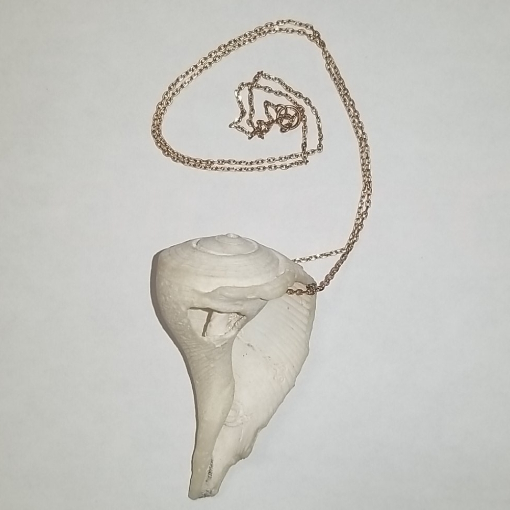 Boho Seashell necklace